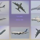 A380 Schauflug