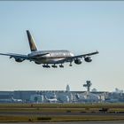 A380 Singapore Airlines landet gegen den Sonnenaufgang