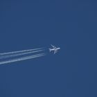 A380 Singapore Airlines SG 50-Livery