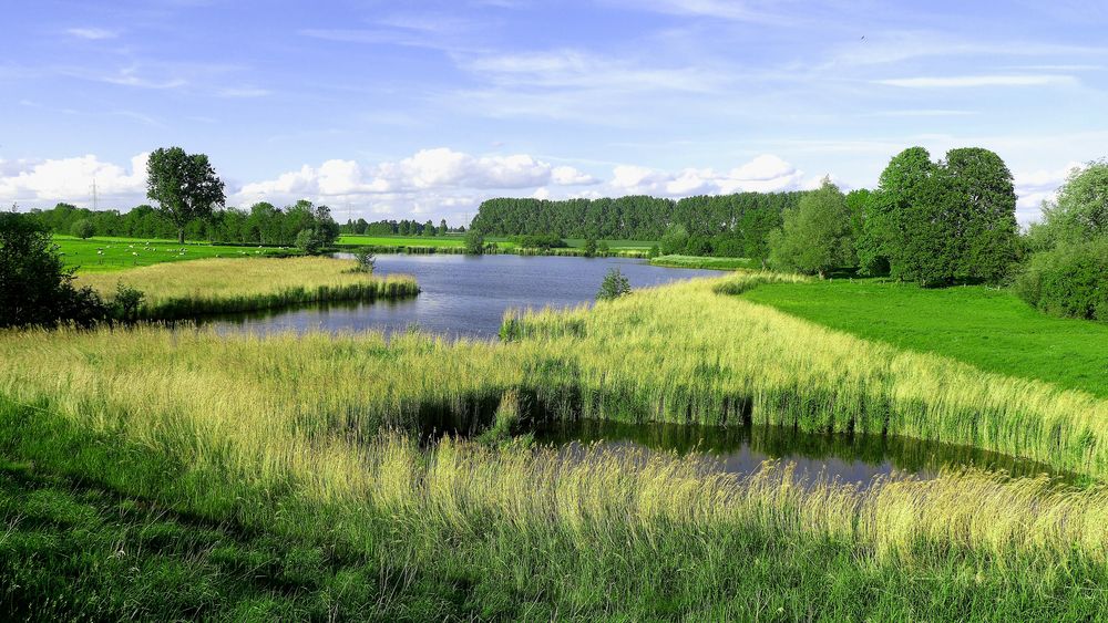 Ein Kolk im Kreis Kleve ( Niederrhein NRW ) von A-dreisig