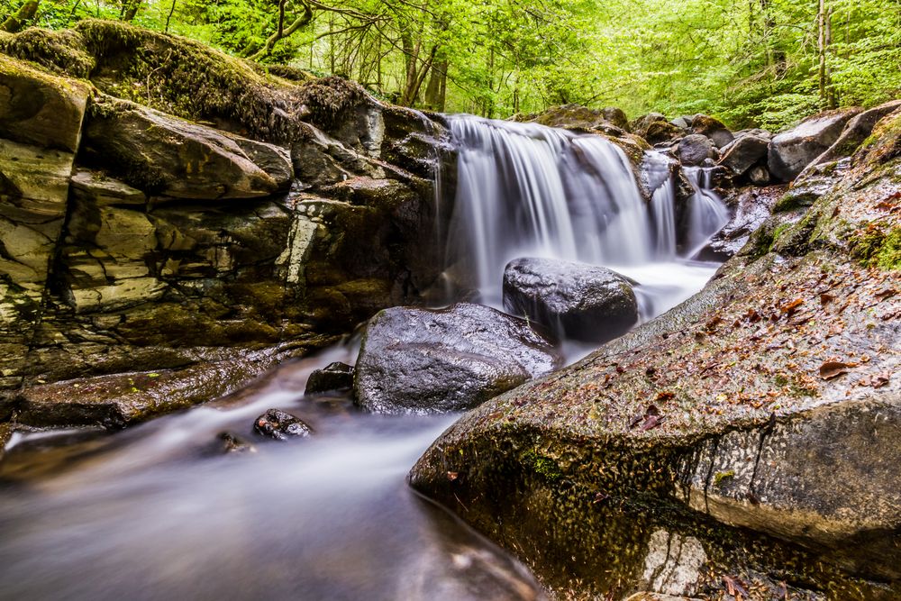 Stille Wasser... von michelglobal