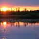 Sonnenuntergang am Federsee