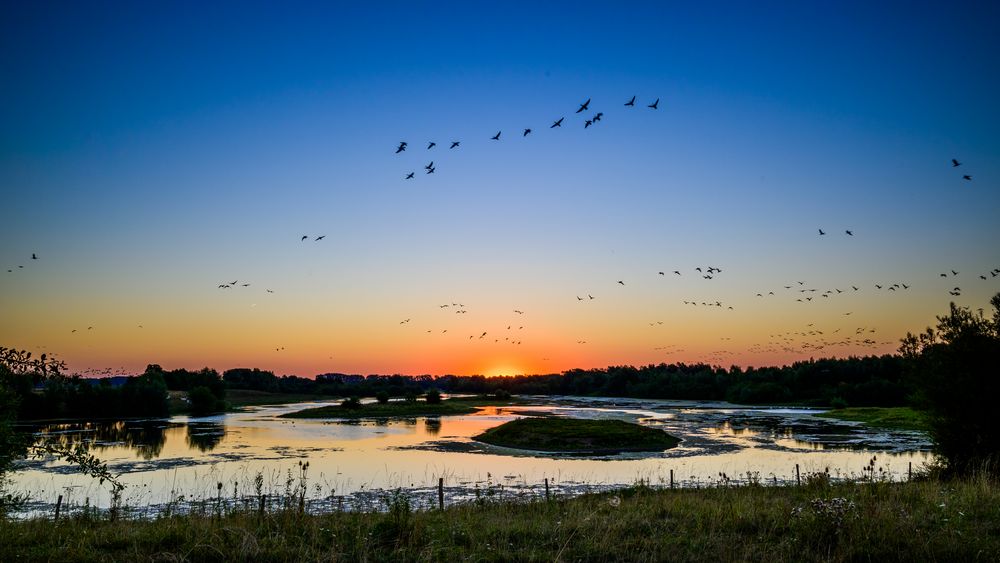 Sonnenaufgang  von BernhardKastner