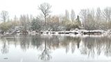 Winter at the Lake de Adele D. Oliver