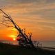 Couch de soleil sur Omaha Beach 