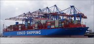 "COSCO SHIPPING CAPRICORN" by Sanne - HH