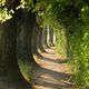 Bodensee - Wanderweg Hagnau nach Immenstaad