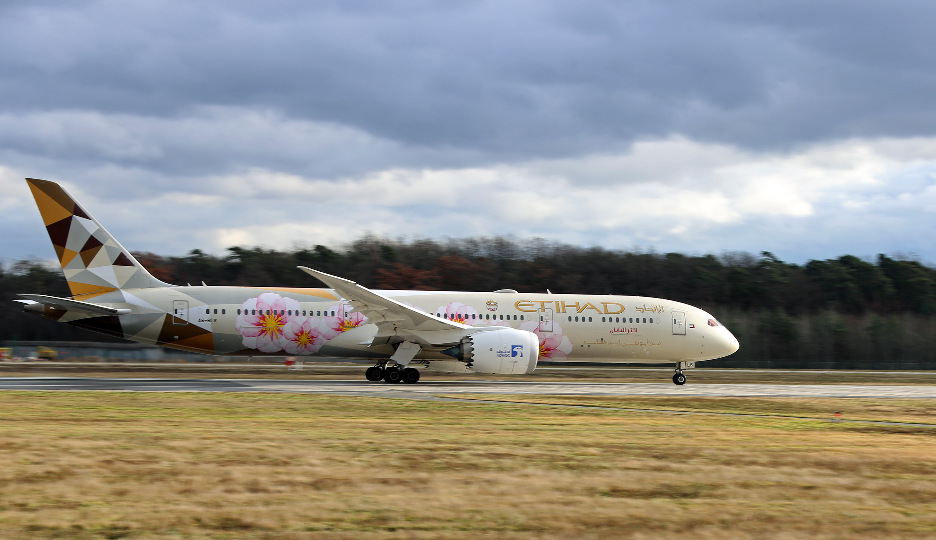 A6-BLS  - Boeing 787-9 Dreamliner -