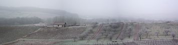 BROUILLARD GIVRANT SUR LE VIGNOBLE JURASSIEN von BUBUL