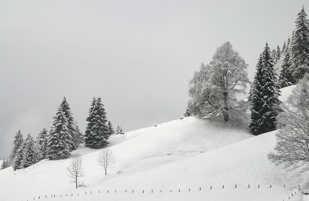 Zaun in Unterjoch von Der Schnellzeichner