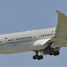 A7-BCK - Qatar Airways - Boeing 787 - Dreamliner