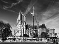 Cathédrale Notre-Dame de Paris de Hany HOSSAMELDIN
