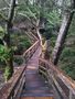 Tofino, Vancouver Island, BC by purelightofmind