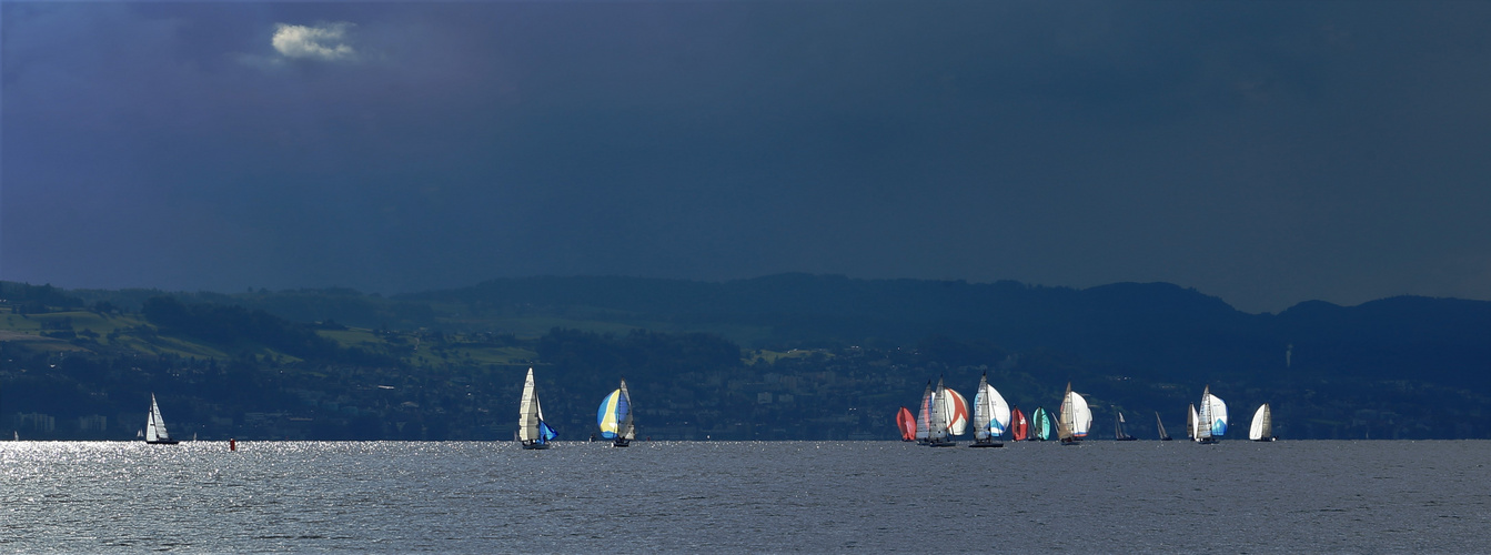 Segeln auf dem Zürichsee von Bonsaianer