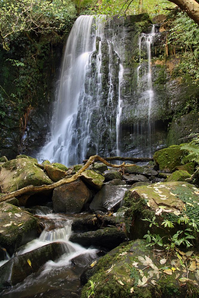 Matai Falls von Mangusta