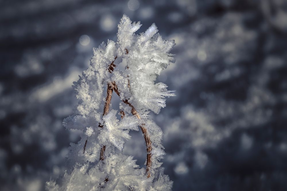 Eisblumen von didi-air