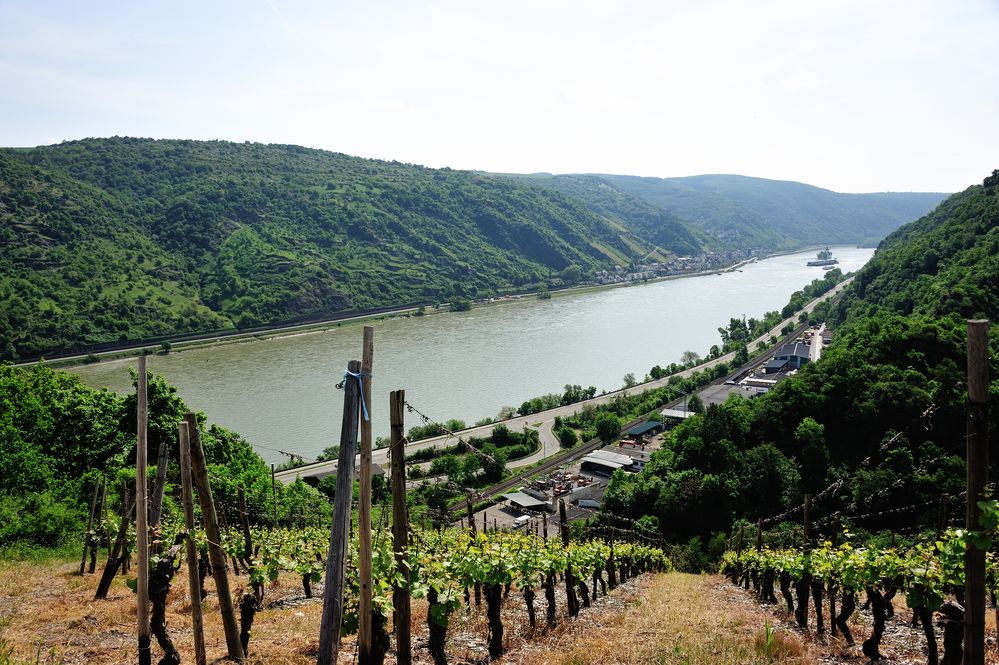 Am Mittelrhein von ClaudiaSto 