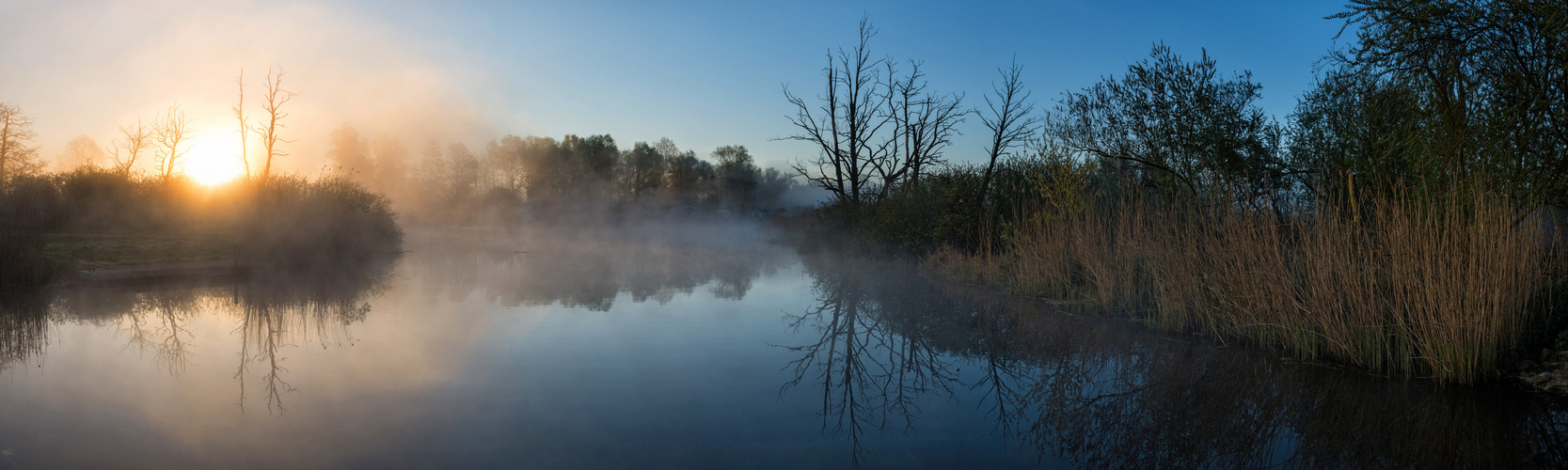 Morgennebel an der Trebel von bestshot