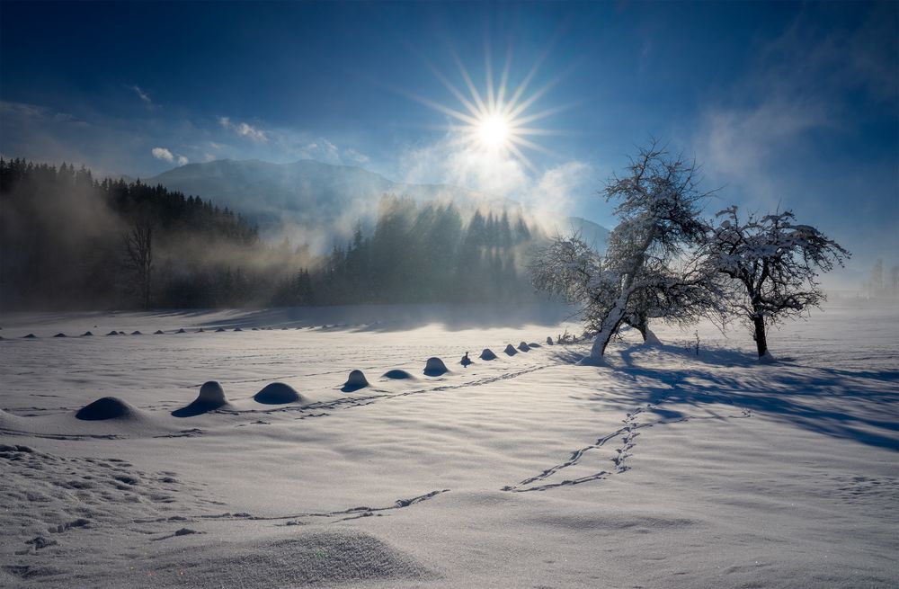 Wintersonne von Norbert Senser