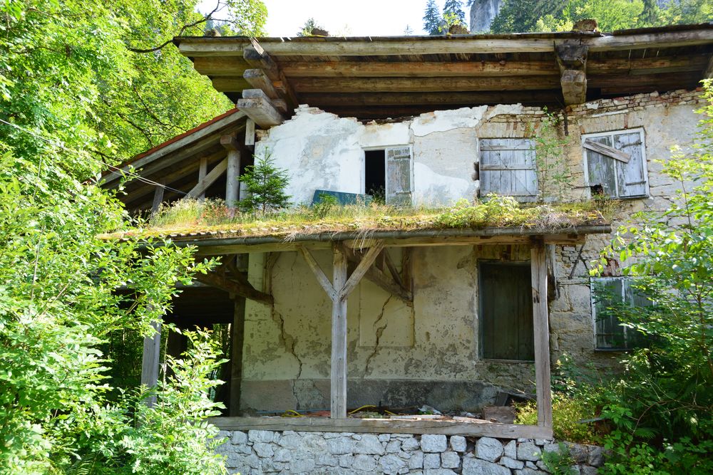 Zurück zur Natur von Bernd Viertel 