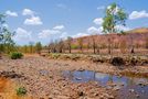 Wasserloch von Helga Broel