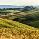 Crete senesi im Mai