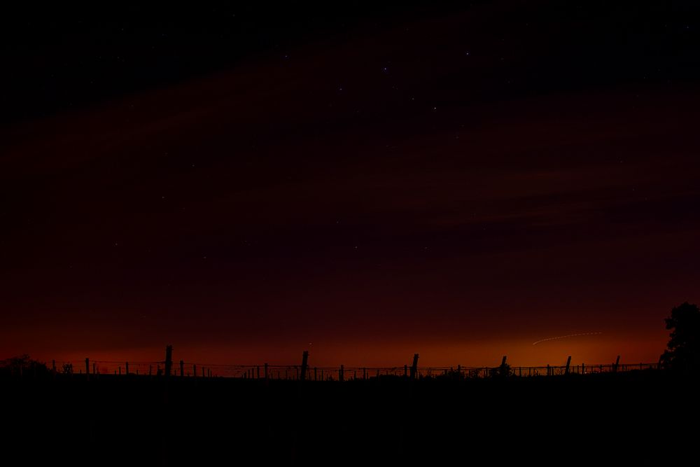 In den Weinbergen. von David-DK-Fotoart