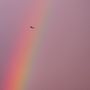 Rainbow-Airline von Stadtfotograf 