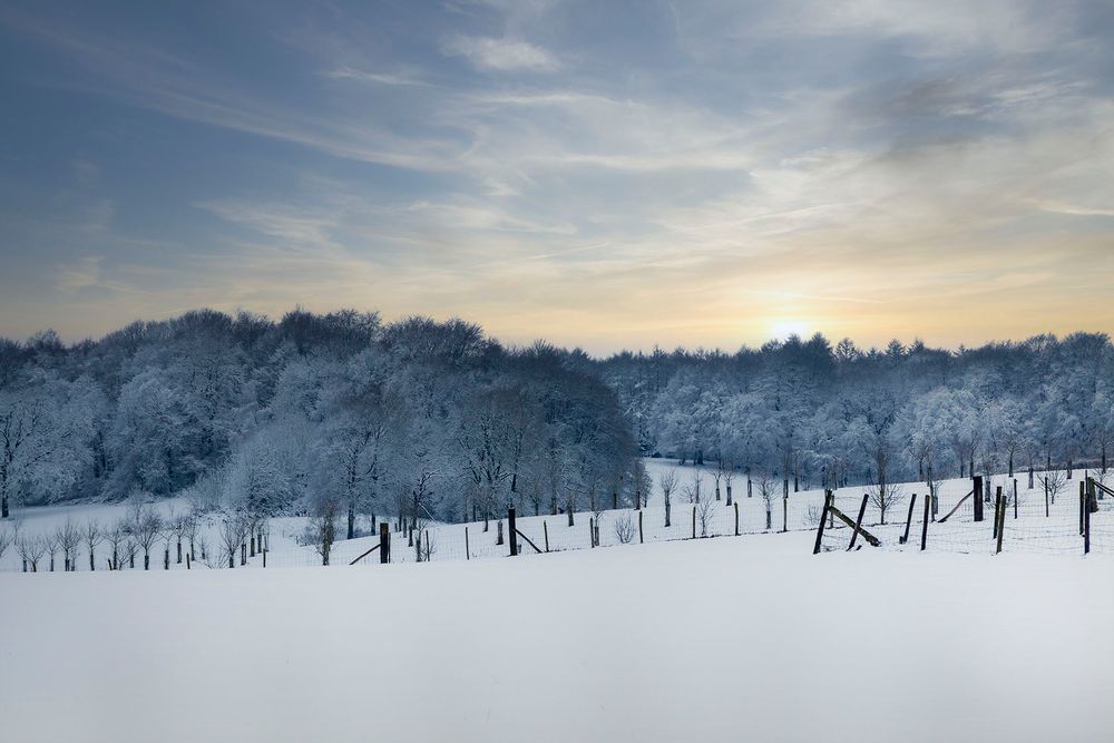 Winterlandschaft von Dagmar Katharina