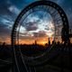 Tiger & Turtle