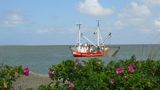 Borkum - Morgen gibt's frische Krabben by Reinhold Müller 