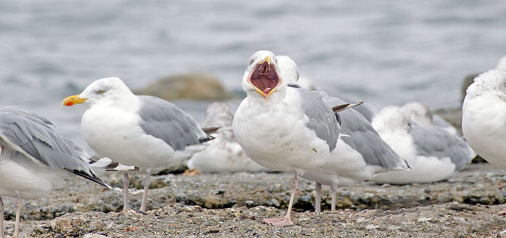 aaaaaaaaaaaaaaacccchhtung alle antreten zum begrüßungcocktail und photoshooting