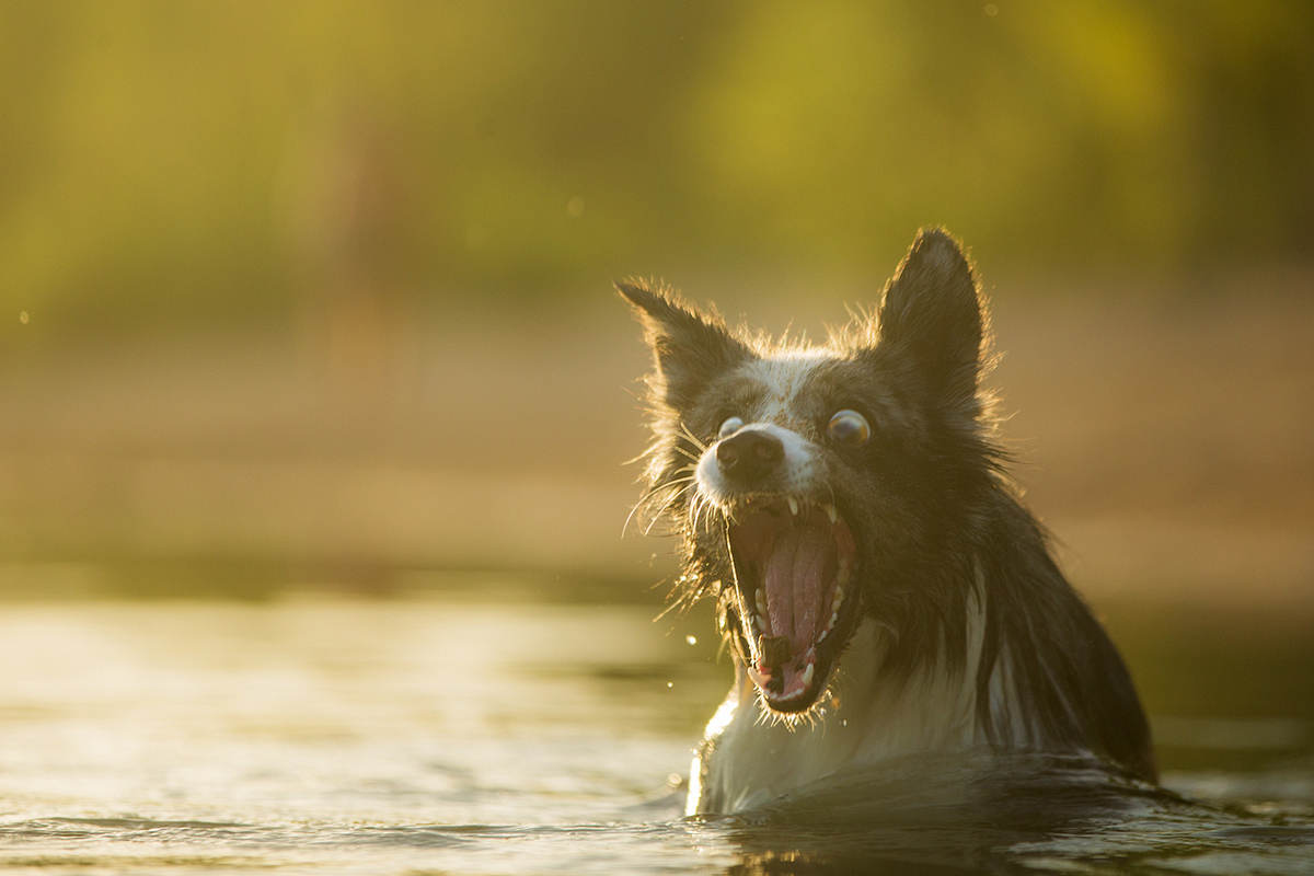 Aaaaaaahhhhhhhh, Montag!!!