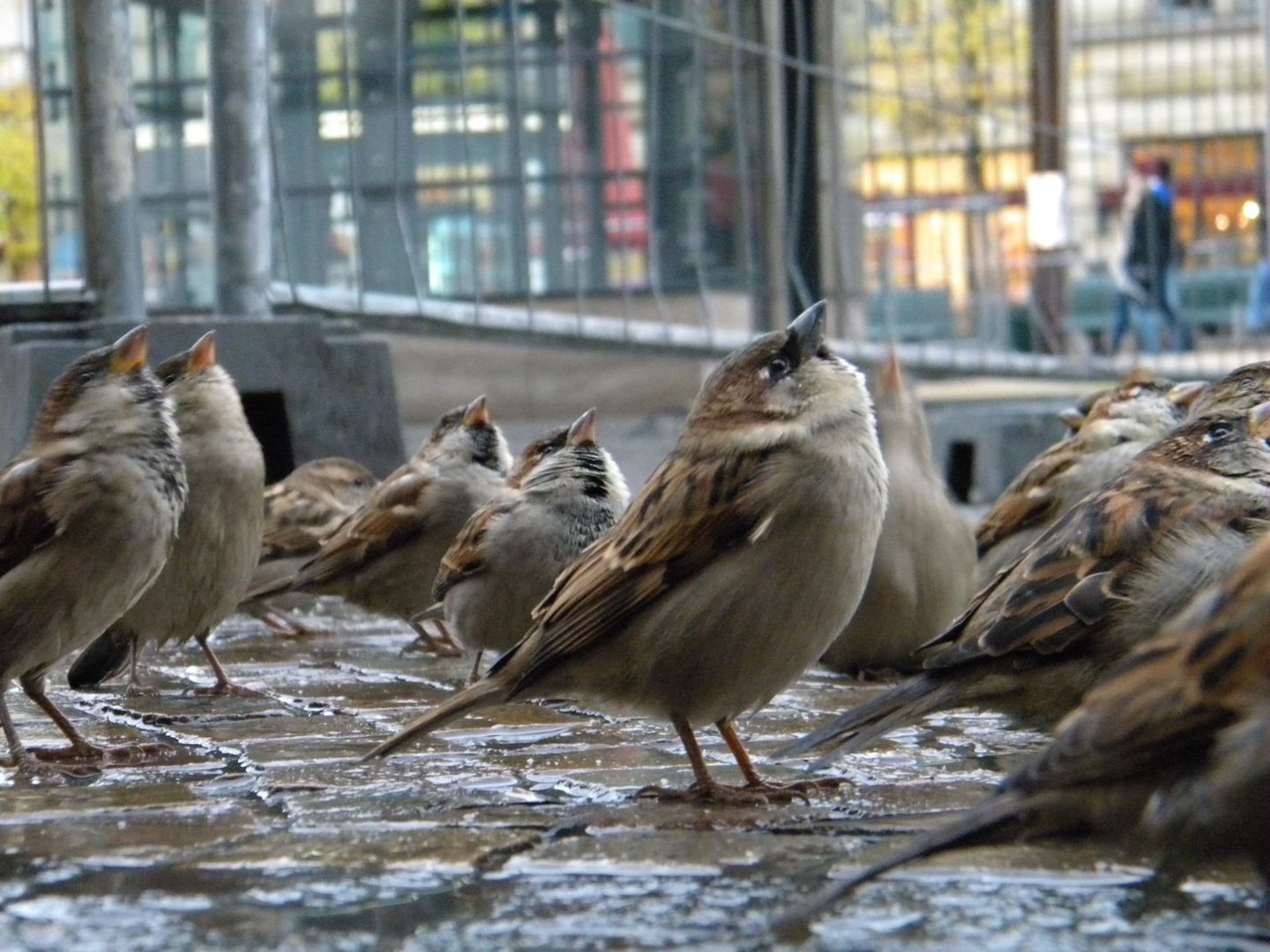 Aaaaaachtung!!! Der Winter kommt!!!! Still gestanden!