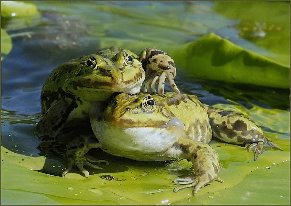 .... aaaah, ja ! ..... genau daaaaaaaaaaa !