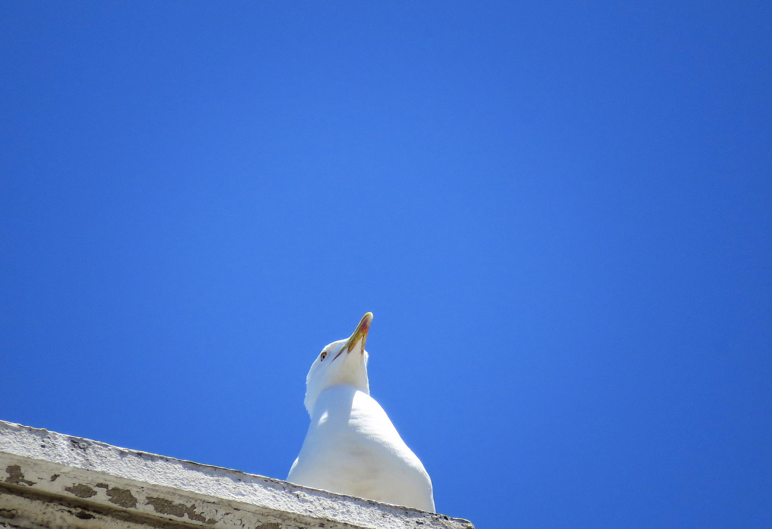 Aaach ist der Himmel heut schön blau