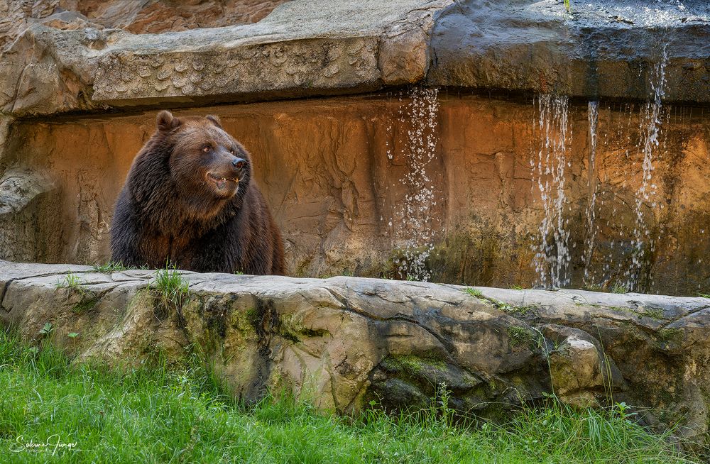 Aaah, da kommt also das Wasser her!