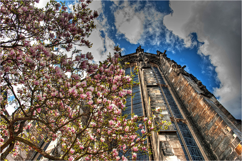 Aachen im Frühling