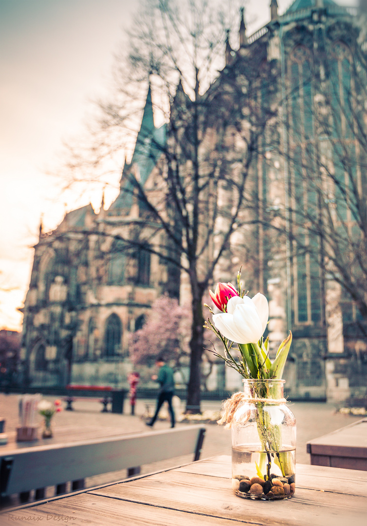 Aachen - Münsterplatz Frühling