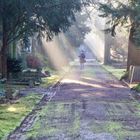 Aachen - Ostfriedhof .