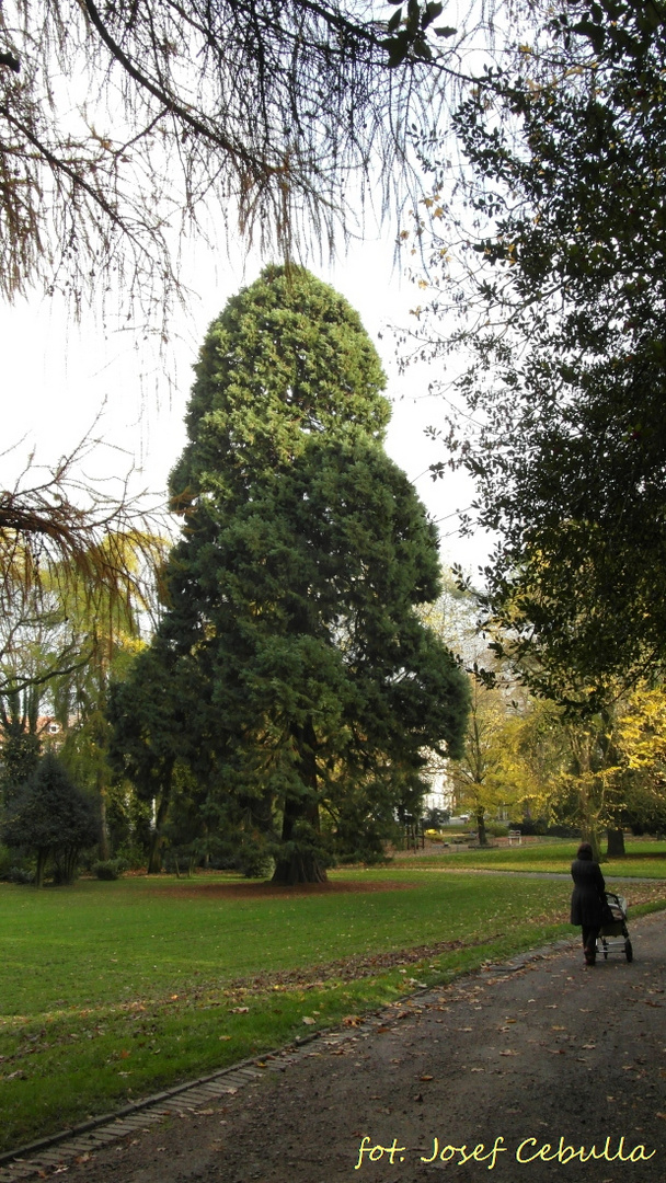 Aachen - Stadtpark