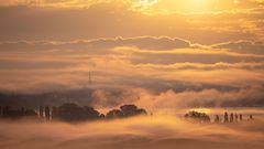 Aachried im Nebel bei Sonnenaufgang