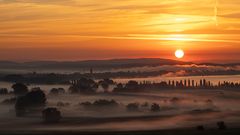 Aachried mit Morgennebel -st-feb-2021-bild3