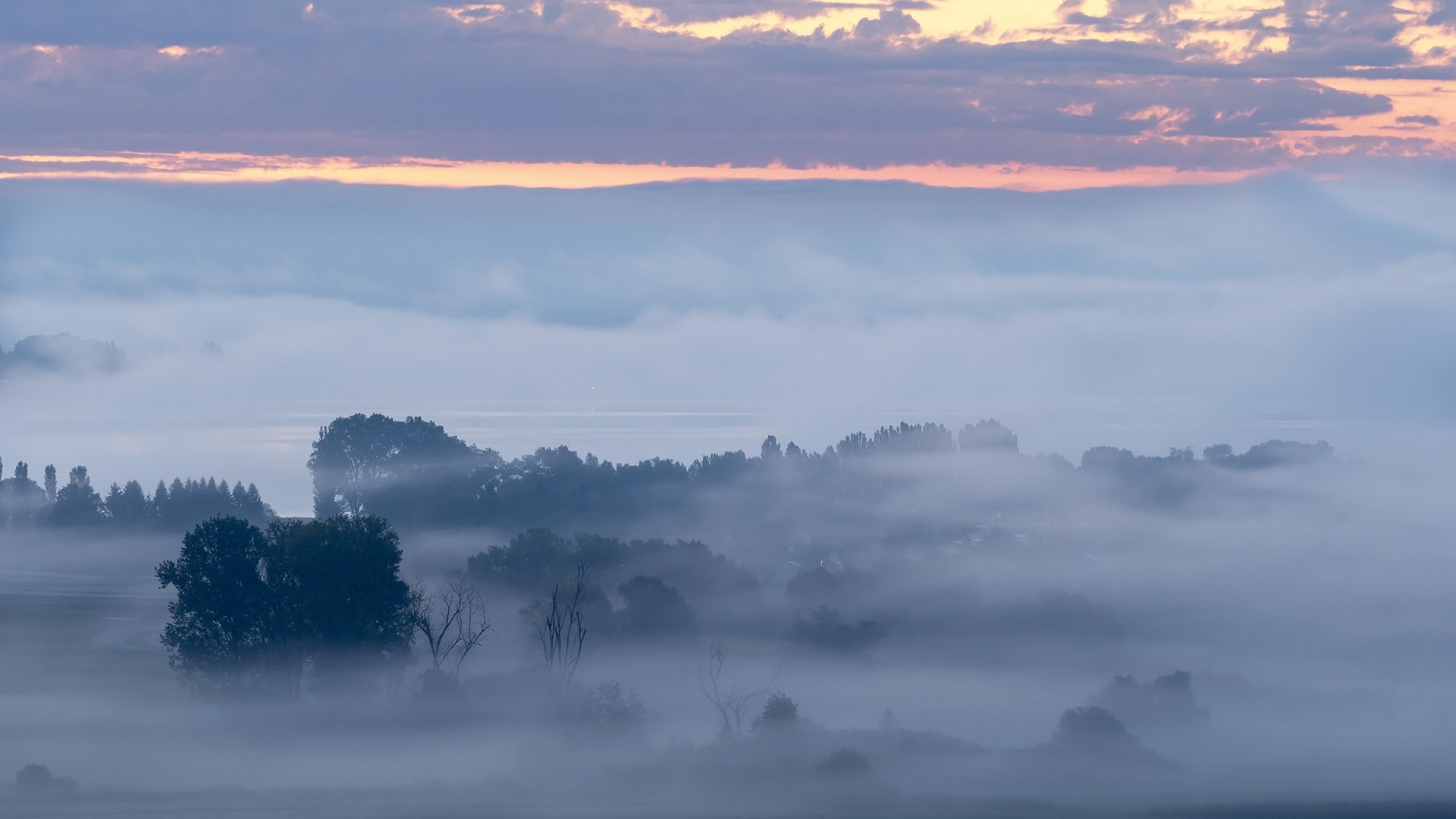 Aachried Radolfzell im Nebel