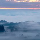 Aachried Radolfzell im Nebel