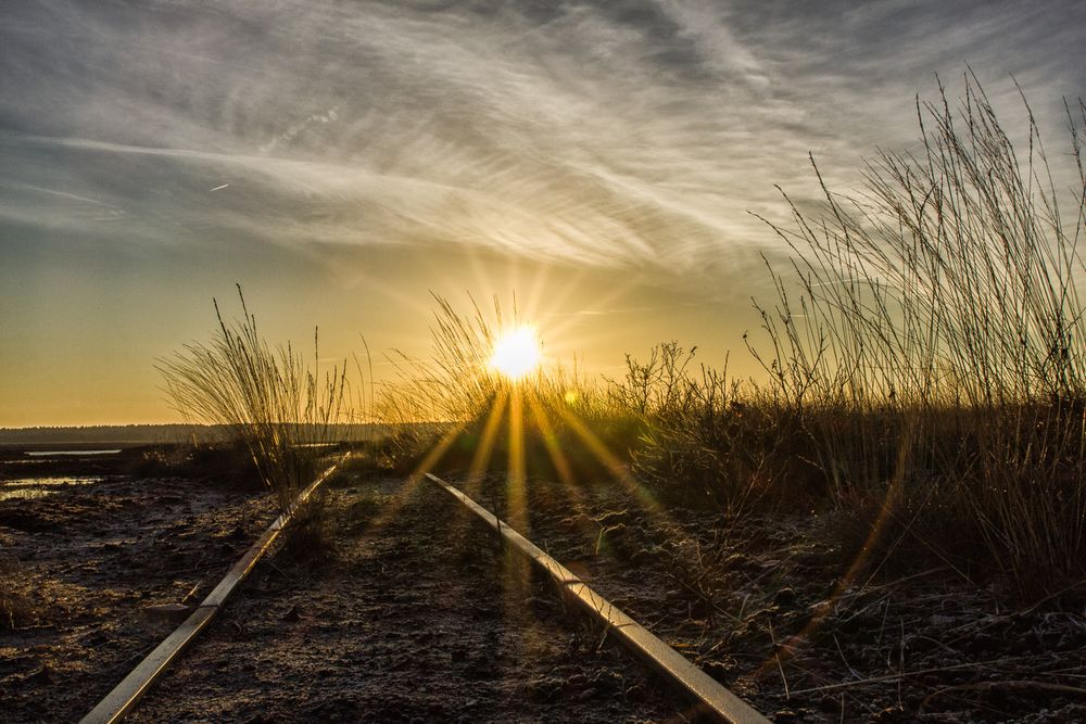 Gleise im Sonnenaufgang von Ruhrpott-Sprinter 