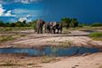 Chobe Nationalpark