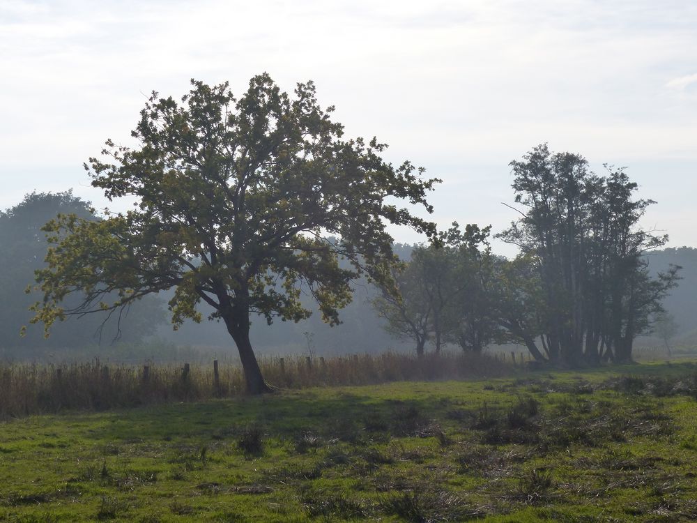 Aalbeek-Niederung 1/2