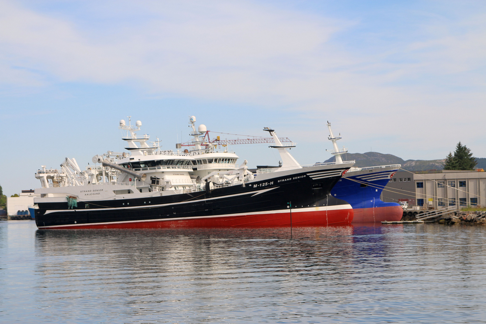 Aalesund Bootsrundfahrt - Der Hafen 1