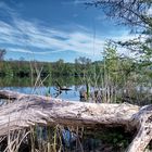 Aalkistensee 20140421_1